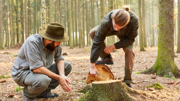 1466_638193962407343031